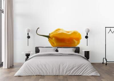 Isolated yellow Habanero pepper on a white background under a soft light Wall mural