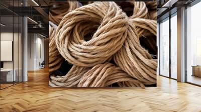 coil of twine rope on black background Wall mural