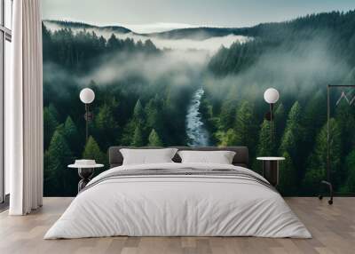 drone photo of foggy forest river in the mountains  Wall mural