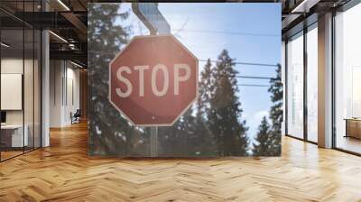 Stop sign on sunny day  Wall mural