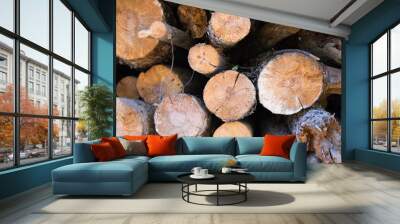 cut and stacked logs of different sizes. You can see the rings in the cut wood. Wall mural