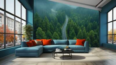 Aerial view on the road between green hills and trees. Wall mural