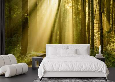 Golden rays of light shining through tree canopies on an Autumn morning with path in a forest. Wall mural