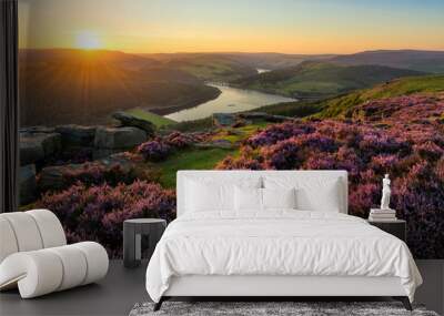 Vibrant heather being illuminated with golden light at Bamford Edge in the English Peak District. Wall mural