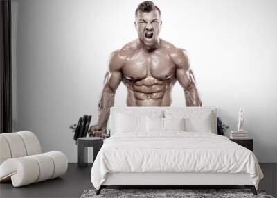 Muscular bodybuilder guy doing exercises with dumbbell Wall mural