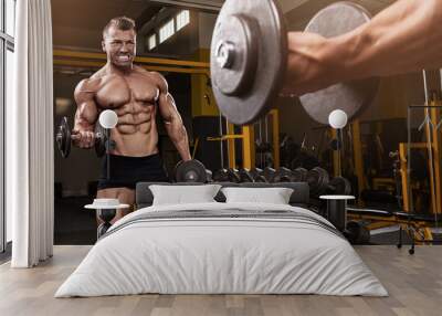 Muscular bodybuilder guy doing exercises with dumbbell Wall mural