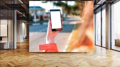 A woman holds a smartphone in her hand, hand close-up. In the background, the city road is blurred. Mock up. Concept of modern technologies, business and applications for the phone Wall mural