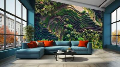 rice fields on the mountain ,the view from the top Wall mural