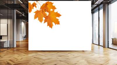 Twig with autumn maple leaves isolated on white background. Yellow and orange natural elements for design. Clapart. Place to write text Wall mural