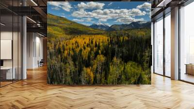 Aerial view of beautiful fall foliage with snow topped mountains in Colorado, USA Wall mural