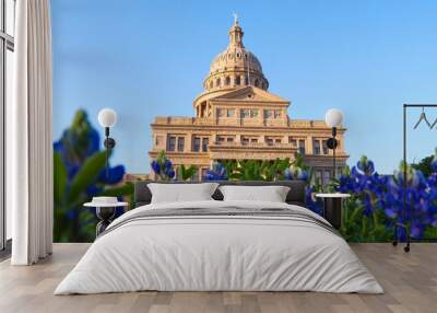 Bluebonnets at the Texas State Capitol in Austin Wall mural