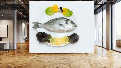 One raw fresh dorado fish in a plate is decorated before cooking. Wall mural