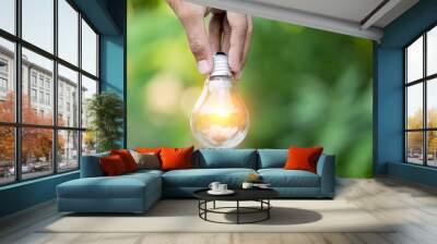 Hand holding light bulb,energy sources for renewable,natural energy concept. Wall mural