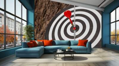 Red dart target arrow hitting on bullseye with,Target marketing and business success concept Wall mural