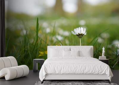 white flowers in the grass Wall mural