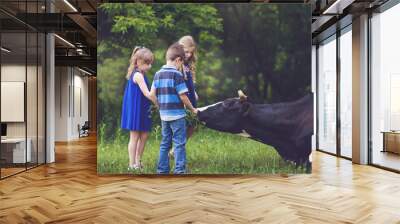 Farmer children feeding cow with green grass. Cow grazing near the farm Wall mural