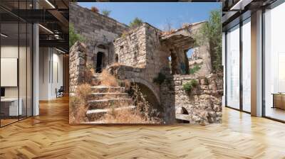 Ruins of buildings in Lifta, a depopulated Palestinian Arab village on the outskirts of Jerusalem. National nature reserve Lifta. A high-rise building of the modern Jerusalem on the background Wall mural