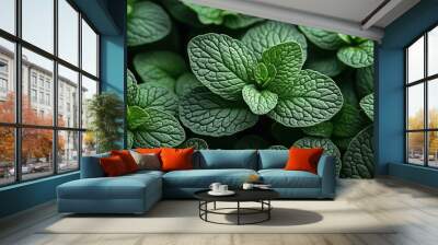 A Lush Garden of Vibrant Green Mint Leaves, a Symphony of Nature's Freshness and Aromatic Delights Wall mural