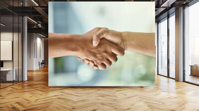 business people, handshake and partnership with team in greeting, agreement or deal at office. close Wall mural