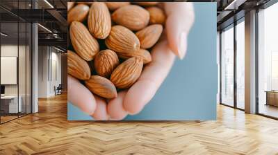 almonds close up Wall mural