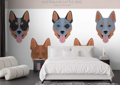 Australian cattle dog all colours clipart. Different coat colors and poses set Wall mural