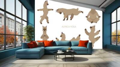 Camelids family collection. Alpaca yoga graphic design Wall mural