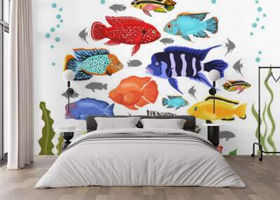 Cichlids fish. Freshwater aquarium fish icon set flat style isolated on white Wall mural