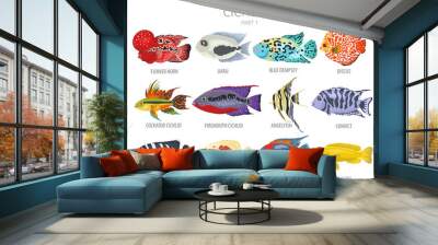 Cichlids fish. Freshwater aquarium fish icon set flat style isolated on white Wall mural