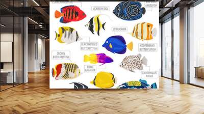 Coral reef fish. Freshwater aquarium fish icon set flat style isolated on white Wall mural