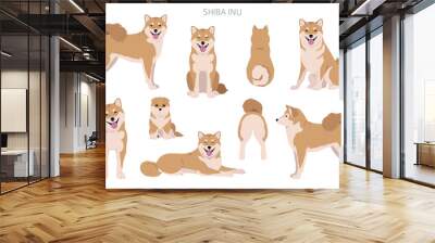 Shiba Inu, Japanese small size dog coat colors, different poses clipart.  Vector illustration Wall mural