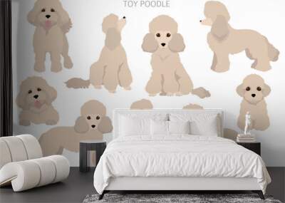 Toy poodle clipart. Different poses, coat colors set Wall mural