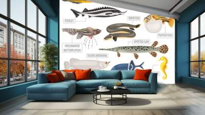 Unusual freshwater aquarium fish breeds icon set flat style isolated on white. Create own infographic about pet Wall mural