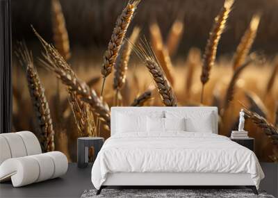 Close-up of golden wheat stalks swaying in warm, soft light, blurred background Wall mural