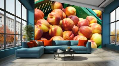 beautiful red apples on a counter Wall mural