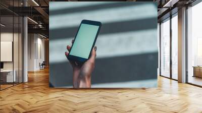 Female hand holding  using modern black smart phone with empty screen while standing at crosswalk Wall mural