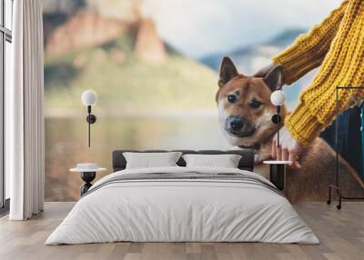 tourist friend girl together tender dog, female hands hugging puppy pet on lake shore nature trip, friendship love concept Wall mural