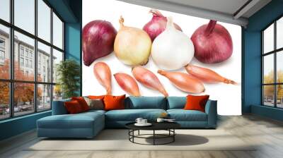 Onion bulbs collection. Ripe different multicolored bow. Isolated on white background Wall mural