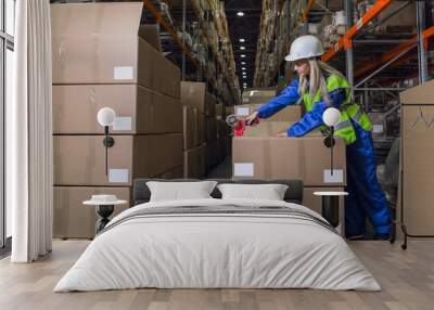 Female warehouse worker packing boxes in storehouse Wall mural