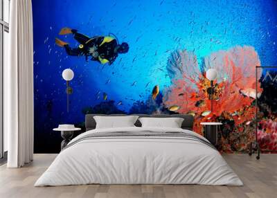 A scuba diver with amazing sea fan in the magnificent underwater world. Wall mural