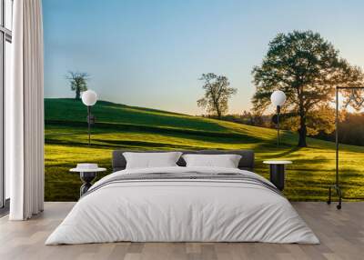 A lonely tree on a green meadow, a vibrant rural landscape with blue sky Wall mural