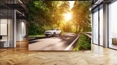 highway into Silent Forest in spring with beautiful bright sun rays Wall mural