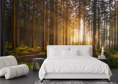 Silent Forest in spring with beautiful bright sun rays Wall mural