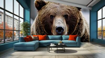 brown bear close up Wall mural