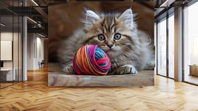 cat with ball Wall mural