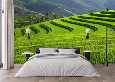 rice terraces in island Wall mural