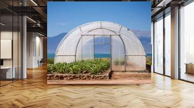 Greenhouse with a beautiful sea and mountain landscape in the background Wall mural