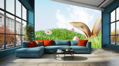 Easter landscape, rabbit ear with colorful eggs and daisy flower on meadow under beautiful sky. 3d rendering Wall mural