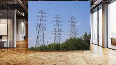 High-voltage power transmission towers Wall mural