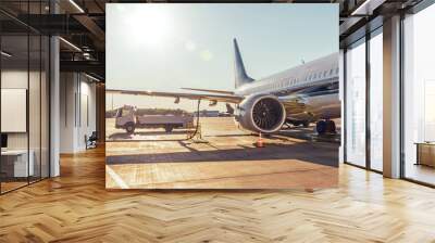 Airplane refueling, connected fuel hose under the fuel tank in the wing. Wall mural