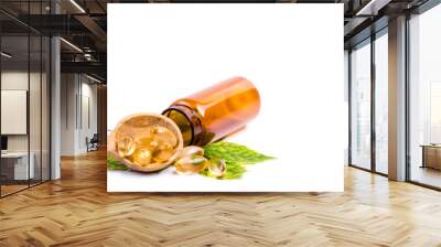 Medicine herb. Herbal pills Wall mural